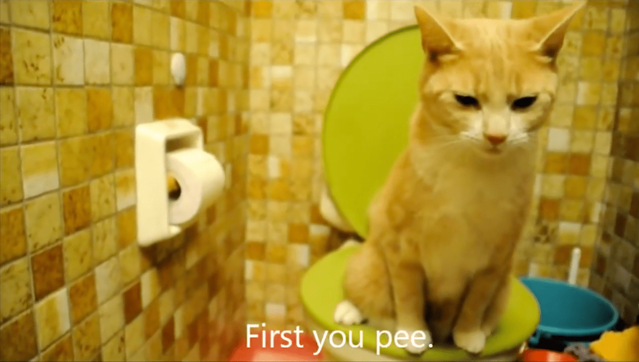 Cat Demonstrates Proper Feline Method of Using Toilet