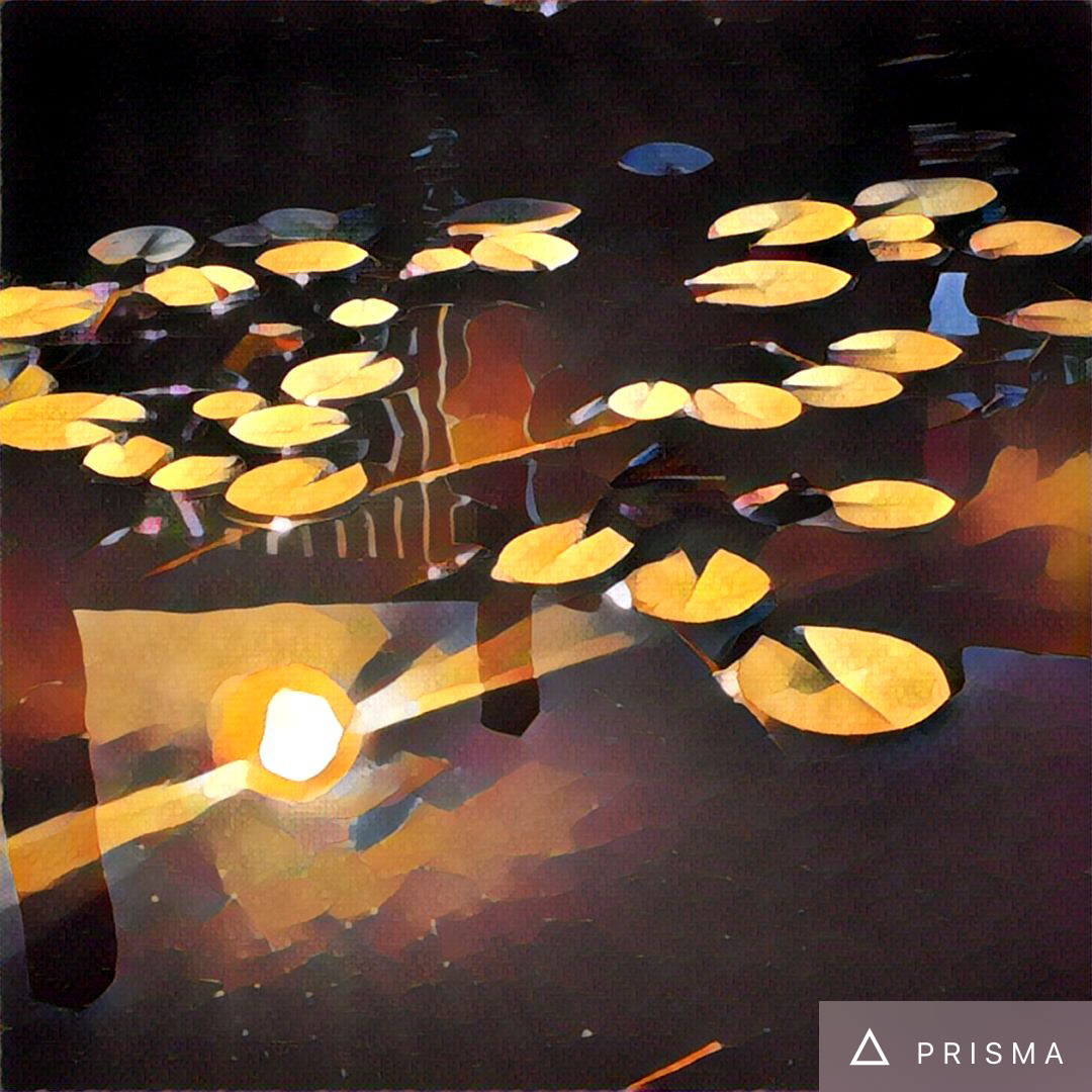 prisma app high resolution