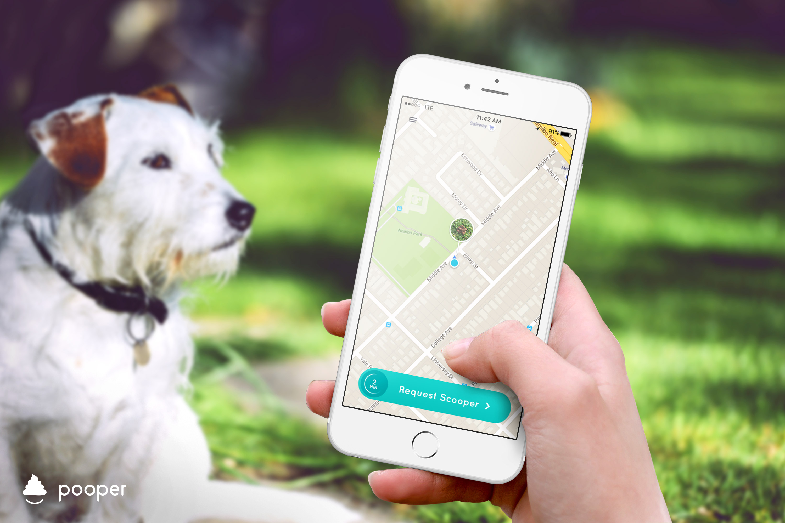 Pets find out. Приложение собака. Собака с телефоном. Собака с планшетом. Мобильного приложения для собак.