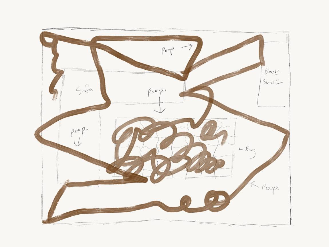 Roomba Poop Map