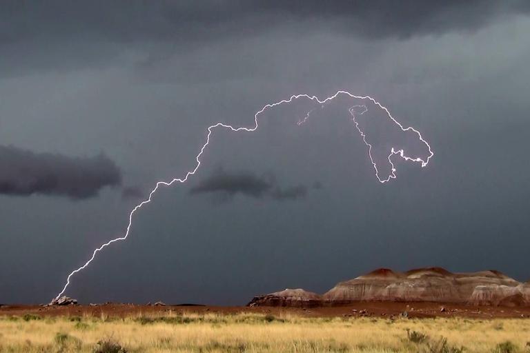 T-Rex Lightning