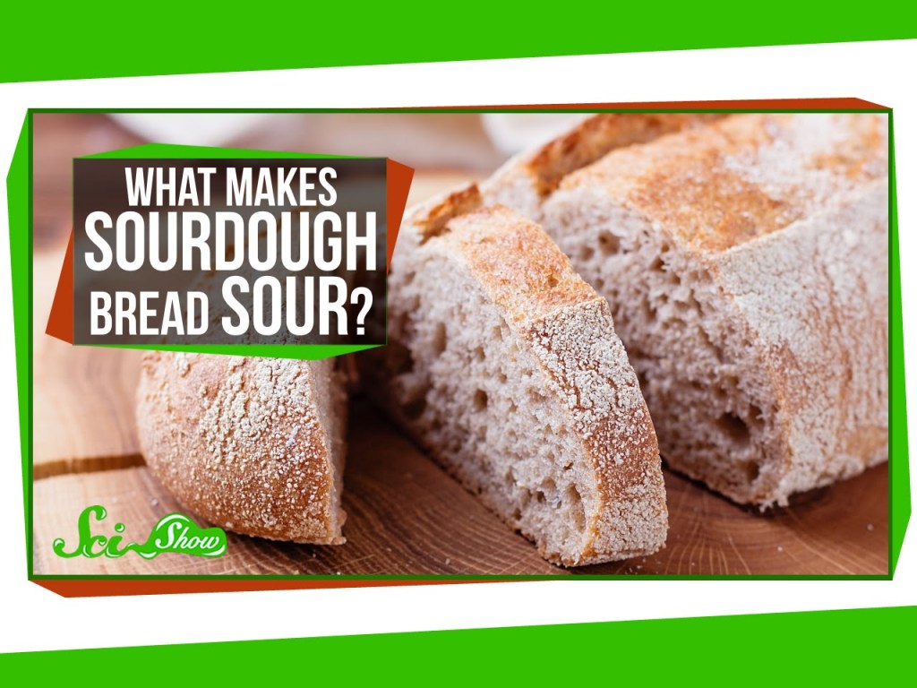 The Wild Fermentation Process That Makes Sourdough Bread Taste So Good