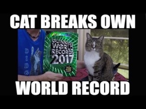 Cat Breaks Own Record
