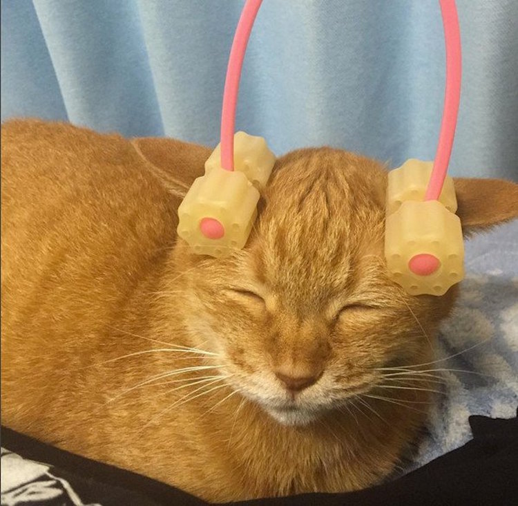 Cat Massager