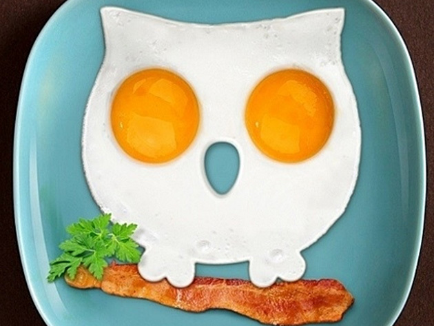 owl-egg
