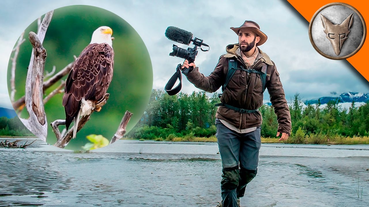 Coyote Peterson Crosses Land and Water to Capture the Perfect Photo of