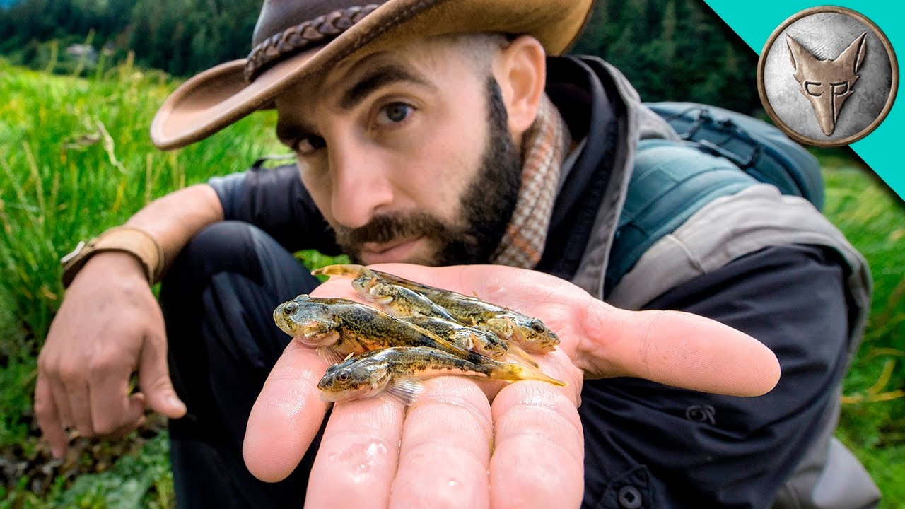 Coyote Peterson Finds a Fish That Can Breathe In and Out of Water in an