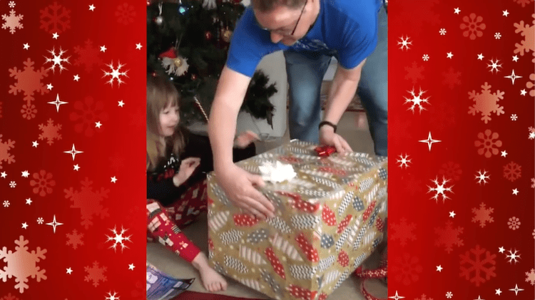 Cat Escapes Christmas Gift