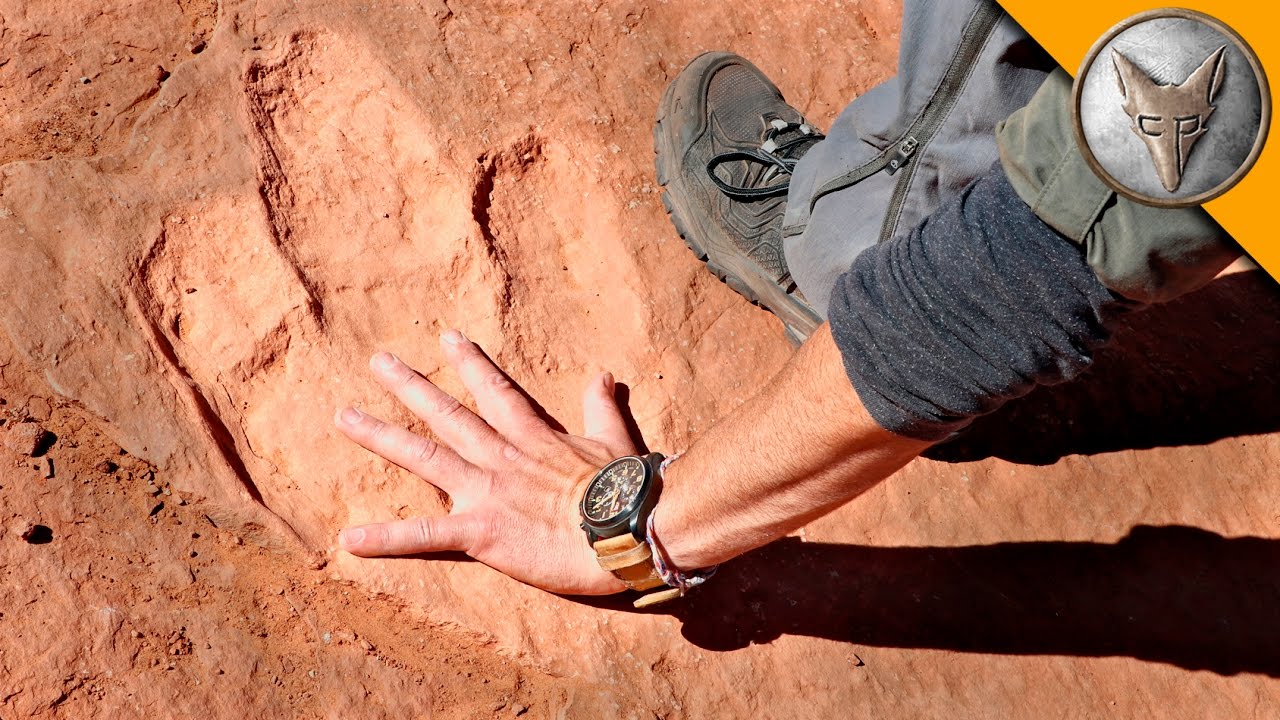 Coyote Peterson Trades In His Trademark Hat for a Helmet to Search for