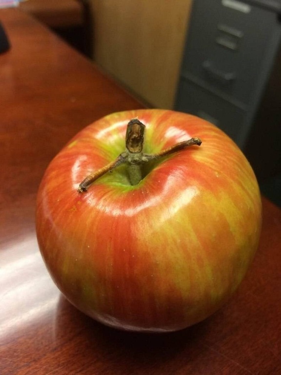 I am Froot