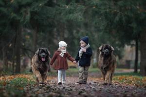 Kids and Big Dogs