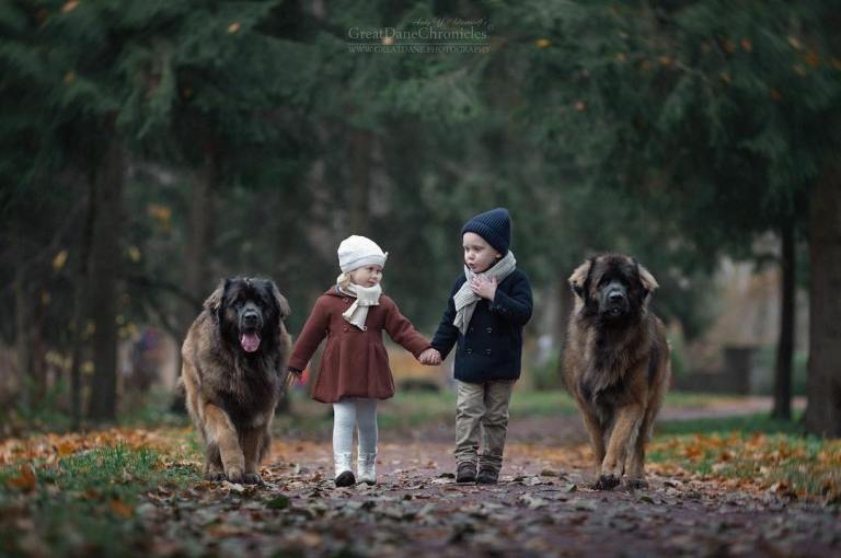 Kids and Big Dogs