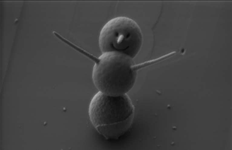 Three Micron Snowman