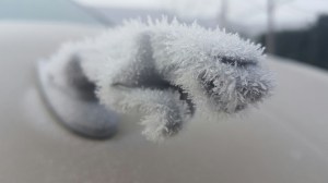 Icy Jaguar