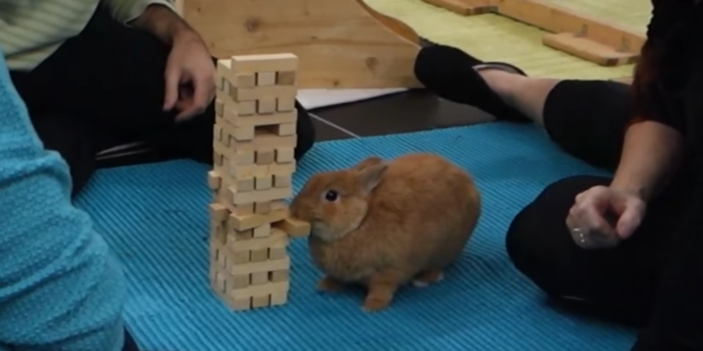 A Confident Little Bunny Skillfully Removes a Jenga Block From the ...