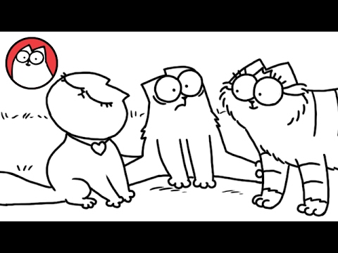 A Determined Simon's Cat Searches for Someone to Love in Time for ...