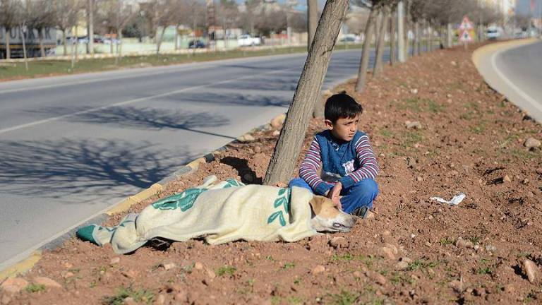 Boy and Dog