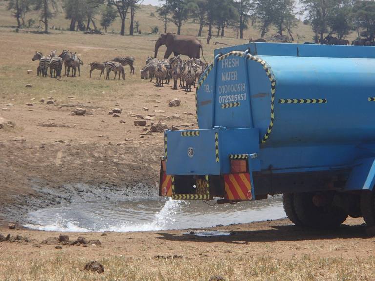 Truck and Animals