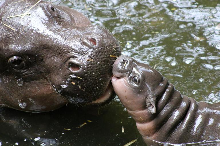 Baby and Mom