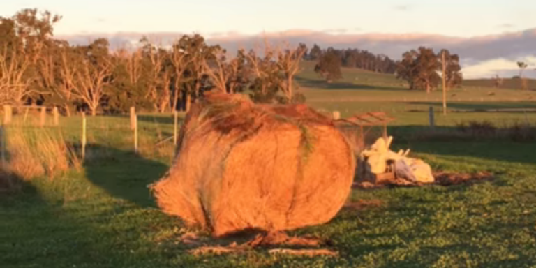 Bale of Hay