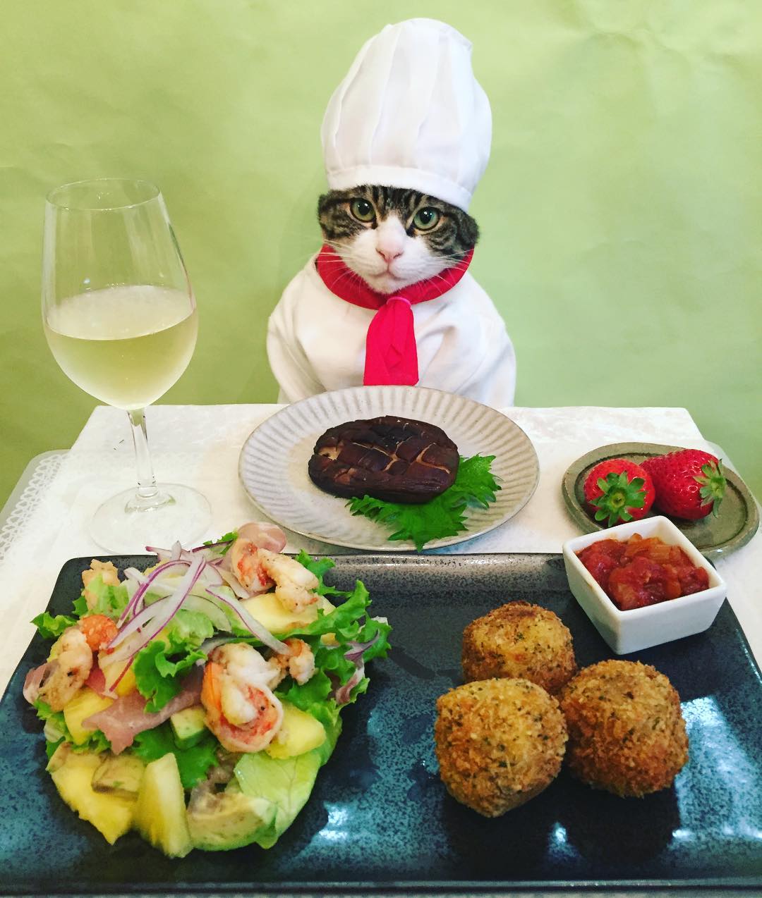 Cosplay Chef Cat Croquets