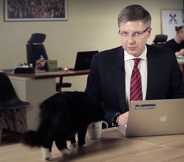 Riga Mayor Cat