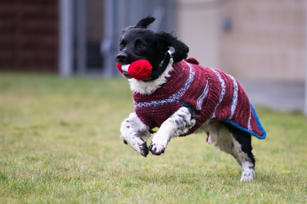 running sweater