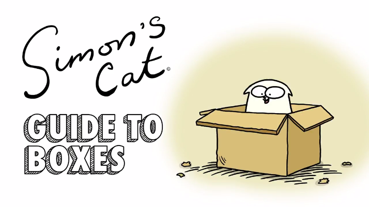 Simon's Cat Offers an Amusing Animated Guide to the Type of Boxes