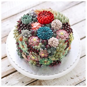 Succulent Cake