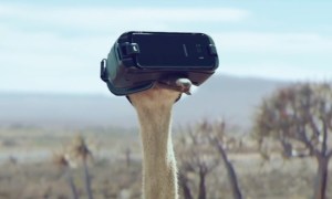 Virtual Reality Encourages an Ostrich to Fly