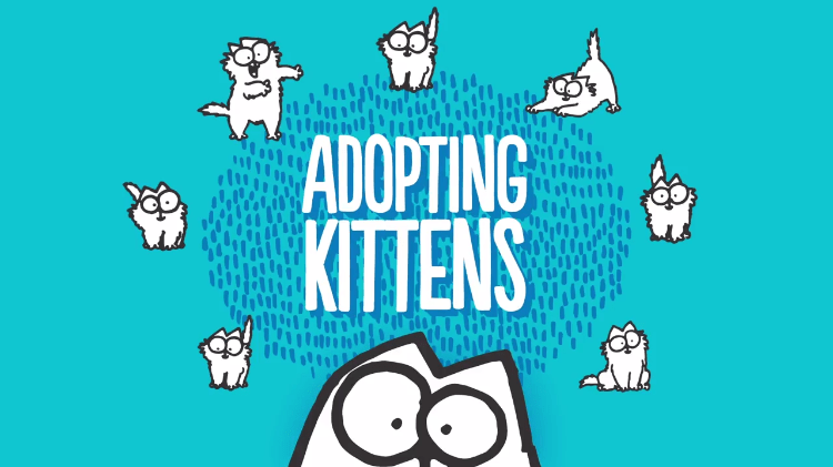 Adopting Kittens Simons Cat Care