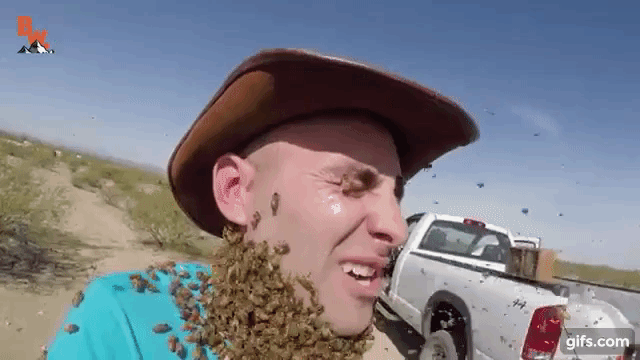 Coyote Peterson Bee Beard Debacle
