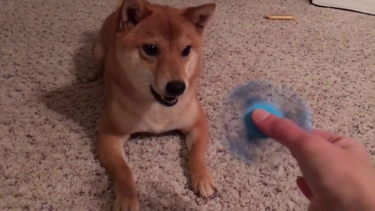 Shiba Inu Fidget Spinner