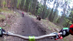 Mountain Biker Outraces Bear