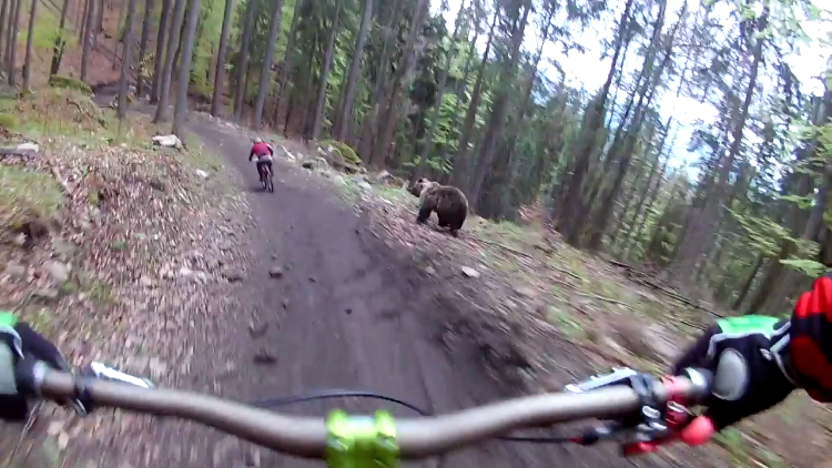 Mountain Biker Outraces Bear