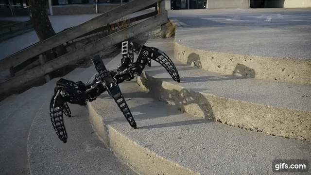 MX-Phoenix hexapod robot outdoor