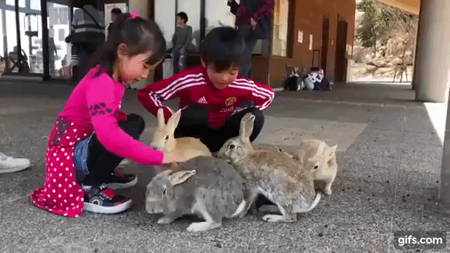Rabbit Island Children bunnies