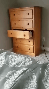 Bengal Cat Dresser Drawer