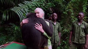 Chimp Hug Dr. Jane Goodall