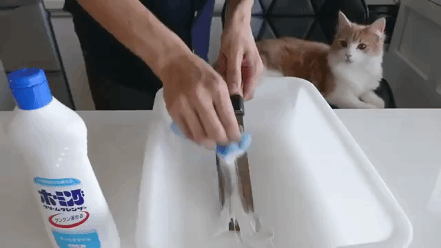 Cleaning Knife
