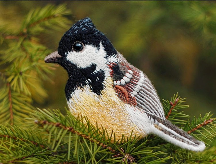 Embroidered Coal Tit
