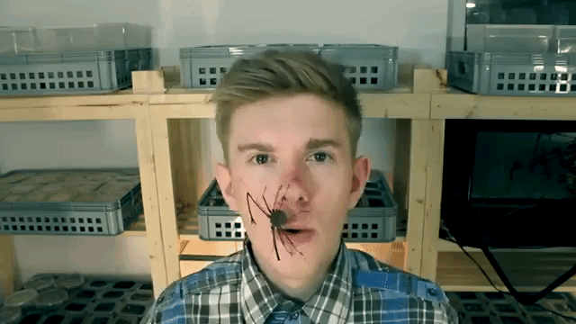 German Insect Breeder Adrian Kozakiewicz Lets Bugs Crawl All Over His Face and Hands