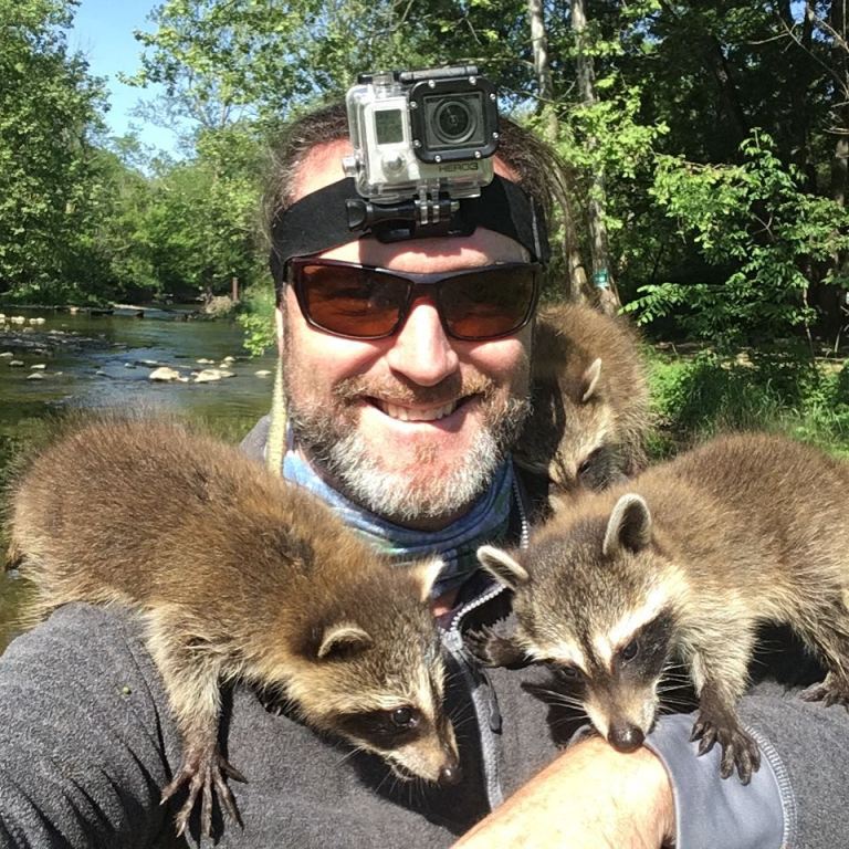 Lever and Trio of Baby Raccoons