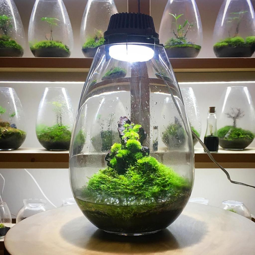 Mosslights, Innovative Indoor LED Moss Terrariums That Double as Table