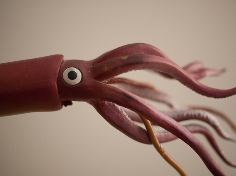 Toy Squid