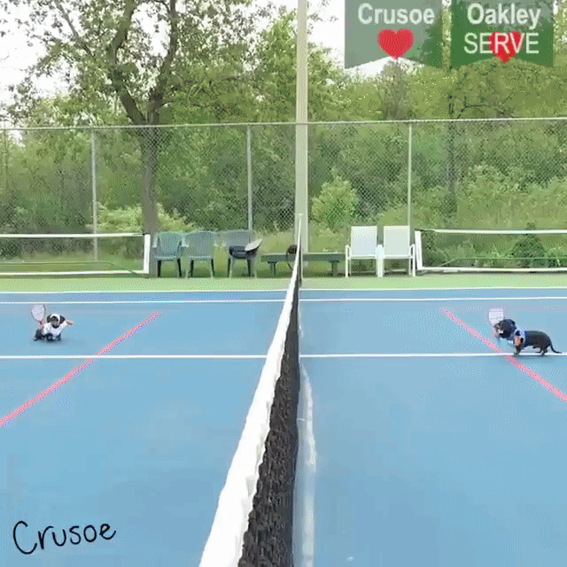 Crusoe Oakley Tennis