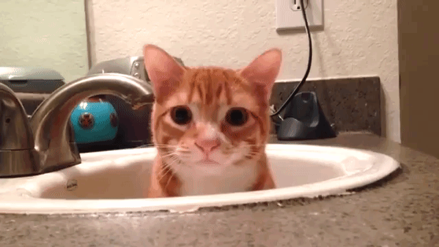 Marm in Sink