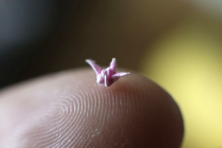 astonishingly-tiny-origami-cranes