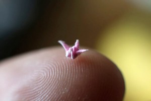 Tiny Origam