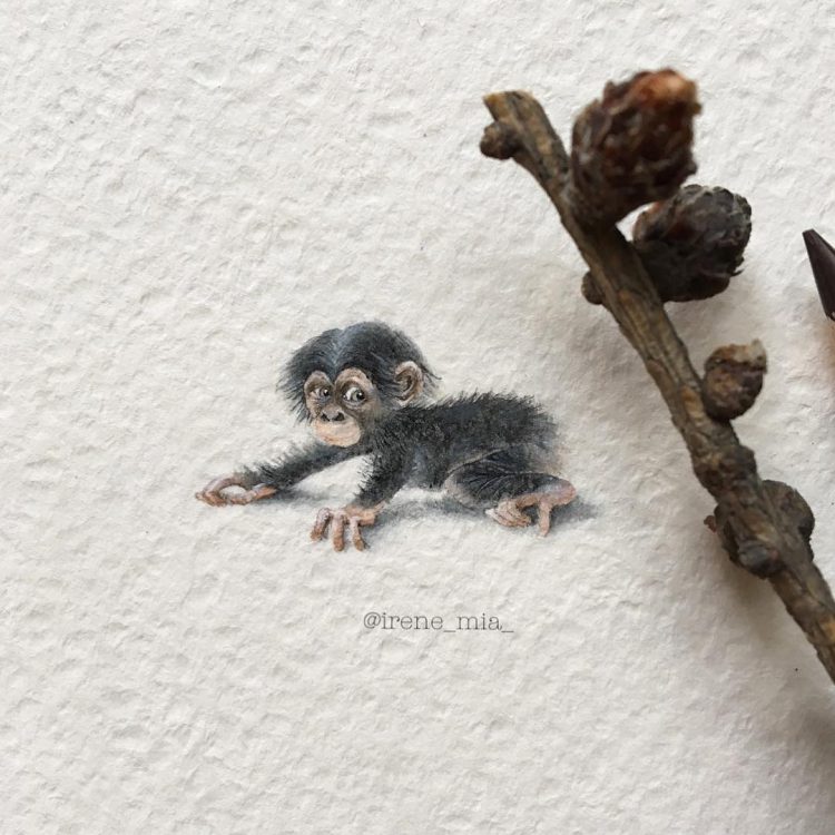 tiny-worlds-monkey-e1500675341655.jpg